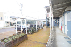 SONY DSC