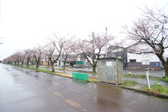 SONY DSC